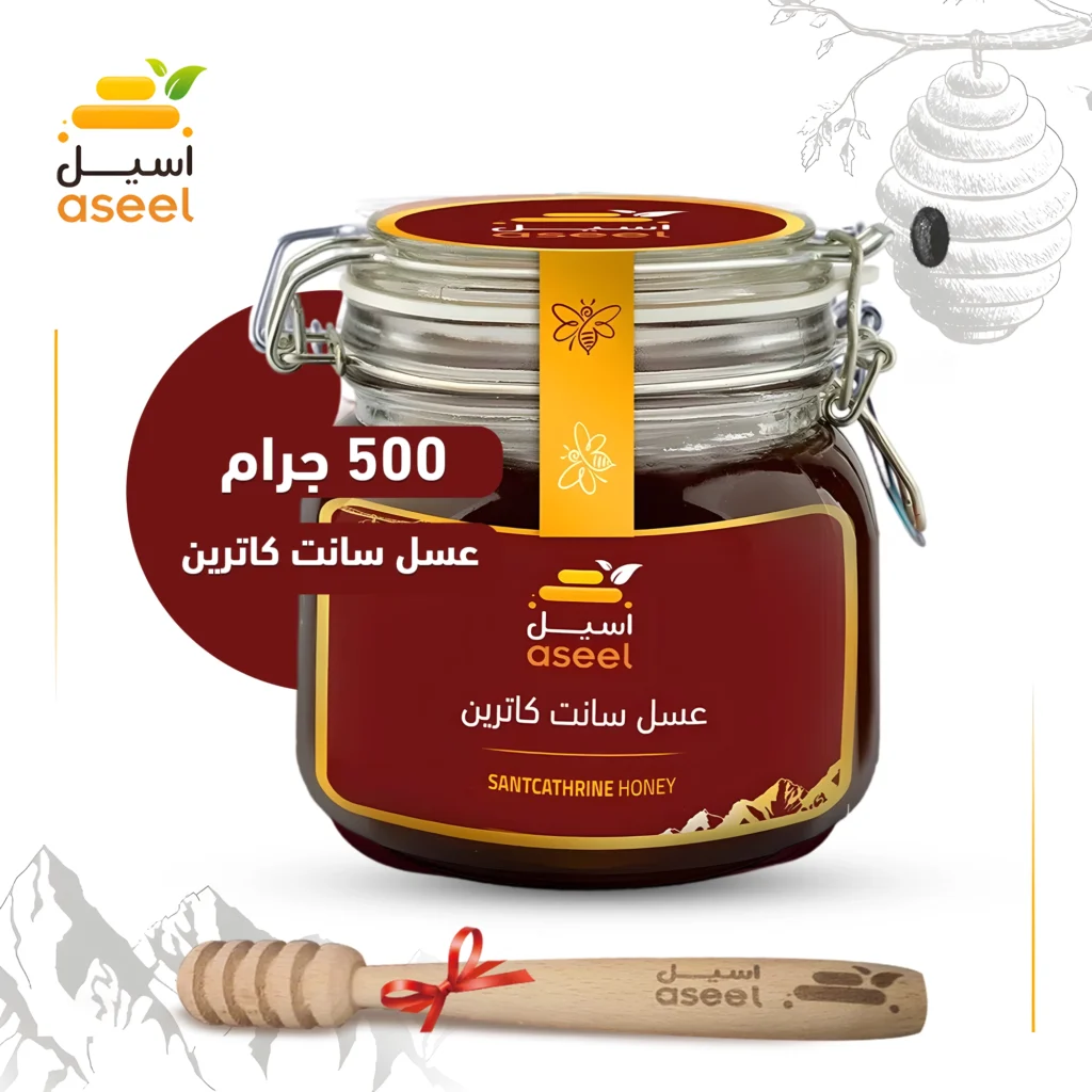 الصفحة الرئيسية