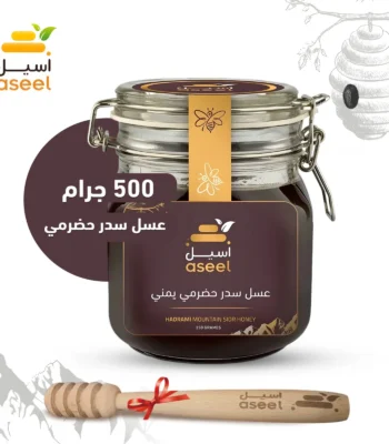 الصفحة الرئيسية