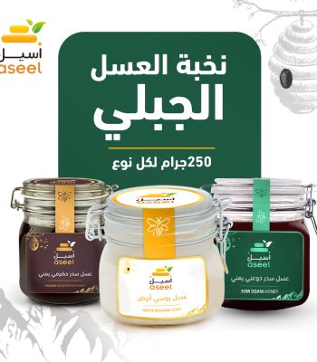 الصفحة الرئيسية