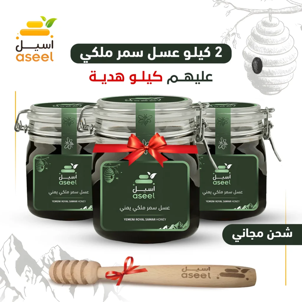 الصفحة الرئيسية