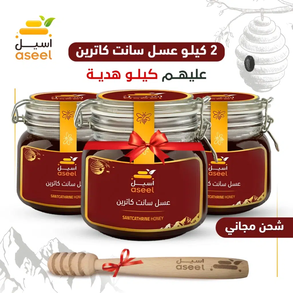 الصفحة الرئيسية